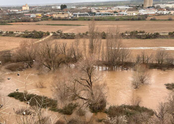 Así baja el río Henares a su paso por Guadalajara este domingo: hay varias carreteras cortadas en la provincia