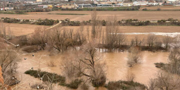 Así baja el río Henares a su paso por Guadalajara este domingo: hay varias carreteras cortadas en la provincia