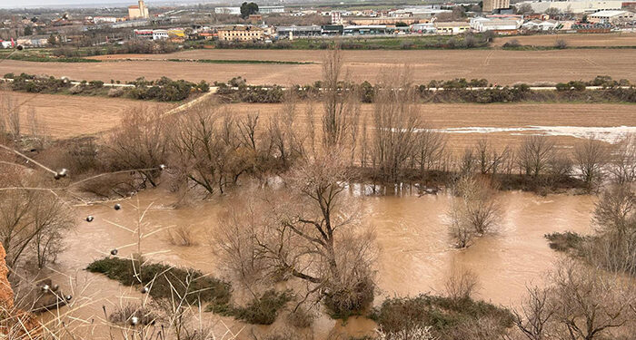 Así baja el río Henares a su paso por Guadalajara este domingo: hay varias carreteras cortadas en la provincia