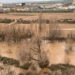 Así baja el río Henares a su paso por Guadalajara este domingo: hay varias carreteras cortadas en la provincia 3 Así baja el río Henares a su paso por Guadalajara este domingo: hay varias carreteras cortadas en la provincia