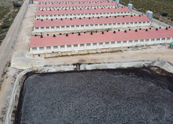 Macrogranja en Cuenca