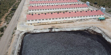 Macrogranja en Cuenca