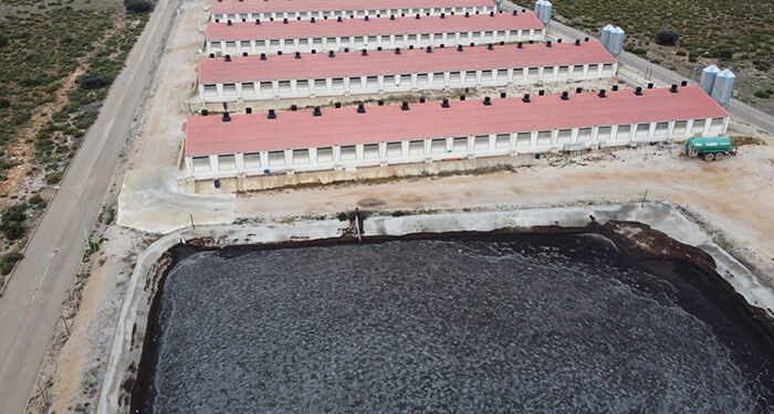 Las 61 macrogranjas pausadas por la moratoria en Castilla-La Mancha y que ya pueden ser reactivadas supondrían 362 mil cerdos más 1 Macrogranja en Cuenca