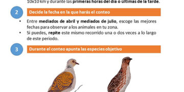 Arranca una campaña muy especial de censos de tórtola y codorniz en el Observatorio Cinegético