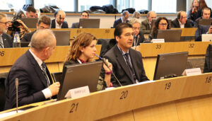 Castilla-La Mancha ratifica la declaración del intergrupo del vino del Comité Europeo de las Regiones en defensa del sector frente a conflictos comerciales injustificados