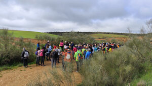 Cerca de 120 participantes campiñean entre Robledillo de Mohernando y Malaguilla