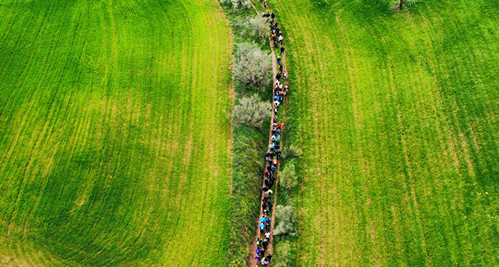 Cerca de 120 participantes campiñean entre Robledillo de Mohernando y Malaguilla