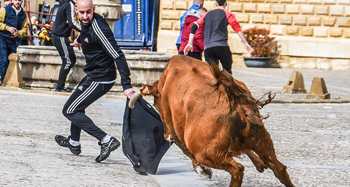 Cogolludo celebra el decimoquinto aniversario de la peña taurina El Temple