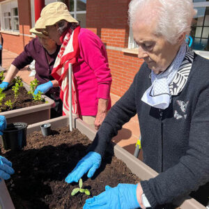 Comienza la temporada de huerto en el Centro de Mayores de Cabanillas