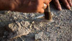 Convocadas las subvenciones para la realización de proyectos de investigación del patrimonio arqueológico y paleontológico