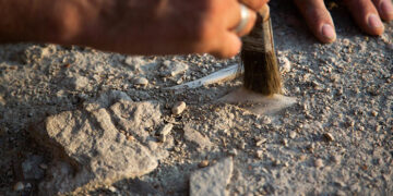 Convocadas las subvenciones para la realización de proyectos de investigación del patrimonio arqueológico y paleontológico
