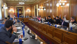 El Pleno de la Diputación de Cuenca aprueba por unanimidad una moción en apoyo a la agricultura y la ganadería de la provincia