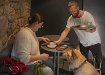 El Torreón, Don Julián y Café Central, en Cuenca, Soletes de Repsol donde disfrutar con mascota
