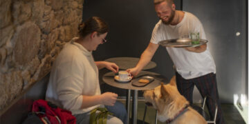 El Torreón, Don Julián y Café Central, en Cuenca, Soletes de Repsol donde disfrutar con mascota
