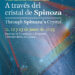 El campus de Cuenca acoge el Congreso Internacional “A través del cristal de Spinoza” 3 El campus de Cuenca acoge el Congreso Internacional “A través del cristal de Spinoza”