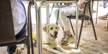 El perro guía de la ONCE en Cuenca reclama su derecho de acceso a establecimientos de restauración