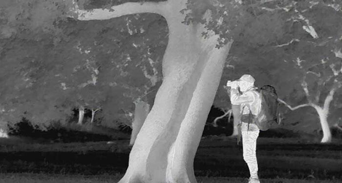 Fundación Artemisan y SCI Iberian Chapter se alían para luchar contra el furtivismo