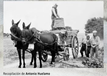 Antonio Huélamo abre en canal su “Viaje ilustrado por las Cooperativas de Cuenca” 3 Antonio Huélamo abre en canal su “Viaje ilustrado por las Cooperativas de Cuenca”