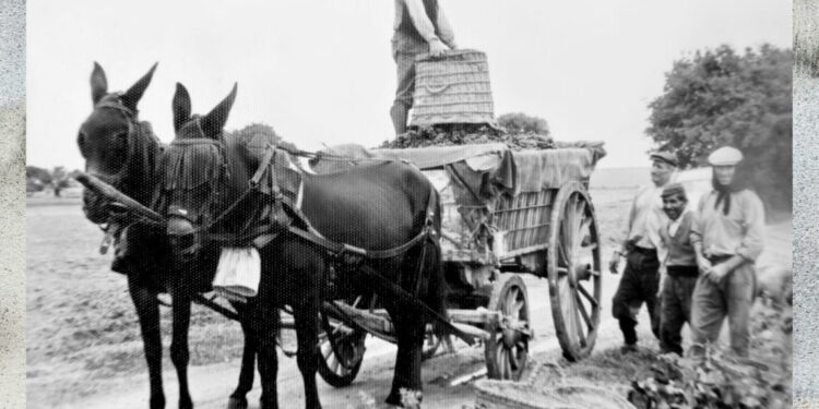 Antonio Huélamo abre en canal su “Viaje ilustrado por las Cooperativas de Cuenca” 1 Imagen de WhatsApp 2025 04 22 a las 09.55.08 262f2e8d