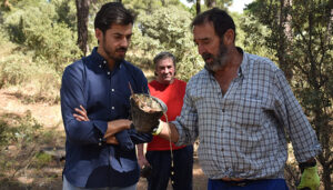 La Diputación de Cuenca publica la convocatoria de ayudas a autónomos del sector de la resina dotada con 30.000 euros