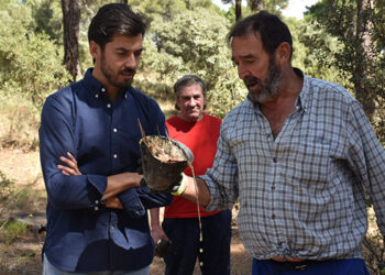 La Diputación de Cuenca publica la convocatoria de ayudas a autónomos del sector de la resina dotada con 30.000 euros