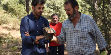 La Diputación de Cuenca publica la convocatoria de ayudas a autónomos del sector de la resina dotada con 30.000 euros