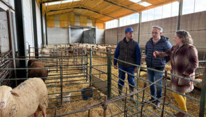 La Junta ha ingresado más de 4,3 millones de euros a los ganaderos y ganaderas de la provincia de Cuenca desde octubre