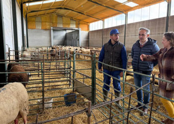 La Junta ha ingresado más de 4,3 millones de euros a los ganaderos y ganaderas de la provincia de Cuenca desde octubre