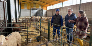 La Junta ha ingresado más de 4,3 millones de euros a los ganaderos y ganaderas de la provincia de Cuenca desde octubre