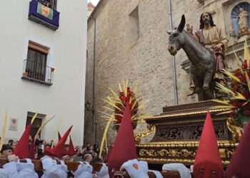 Así ha sido la procesión del Domingo de Ramos