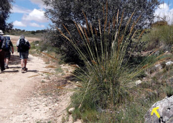 Las Vías Pecuarias y Caminos Públicos Un Patrimonio a Defender