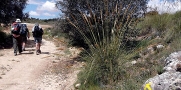 Las Vías Pecuarias y Caminos Públicos Un Patrimonio a Defender