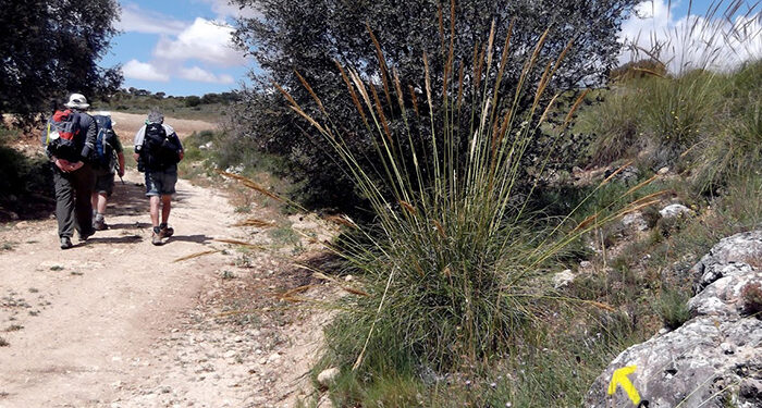 Las vías pecuarias y caminos públicos: Un patrimonio a defender 1 Las Vías Pecuarias y Caminos Públicos Un Patrimonio a Defender
