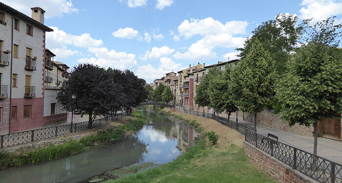Municipios ribereños del río Gallo se unen para exigir a la CHT el mantenimiento de los cauces
