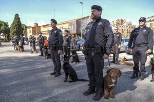 Una treintena de unidades caninas de Policías Locales toda España participan en unas jornadas de formación en Azuqueca