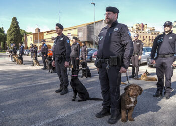 Una treintena de unidades caninas de Policías Locales toda España participan en unas jornadas de formación en Azuqueca
