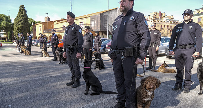 Una treintena de unidades caninas de Policías Locales toda España participan en unas jornadas de formación en Azuqueca