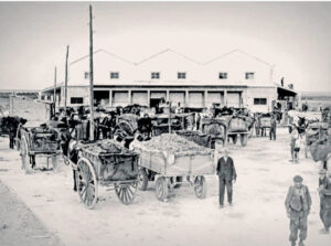 Antonio Huélamo abre en canal su “Viaje ilustrado por las Cooperativas de Cuenca” 5 en la coope