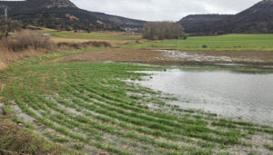 ¿Quién defiende el mundo rural