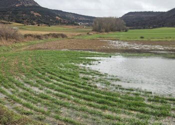 ¿Quién defiende el mundo rural