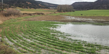 ¿Quién defiende el mundo rural