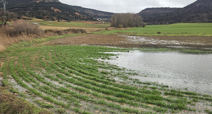 ¿Quién defiende el mundo rural? 1 ¿Quién defiende el mundo rural