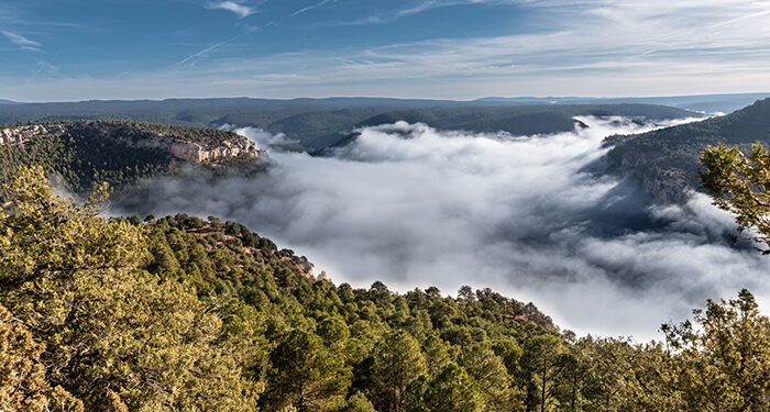 Los ganadores del concurso de fotografía ‘Invierno en el Sistema Ibérico Sur’ ponen en valor  la diversidad del territorio