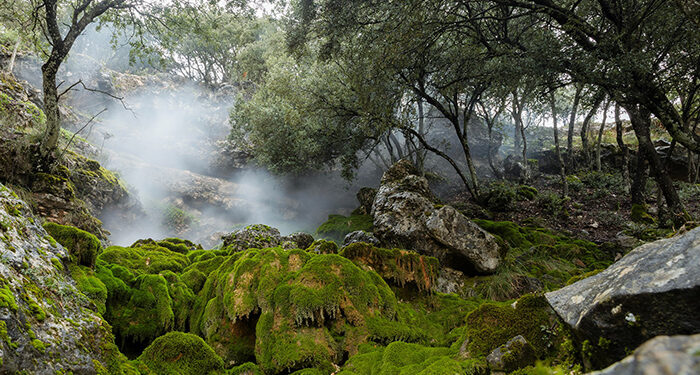 Los ganadores del concurso de fotografía ‘Invierno en el Sistema Ibérico Sur’ ponen en valor  la diversidad del territorio