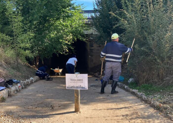 Abierto el plazo de solicitudes para el nuevo Plan de Empleo del Ayuntamiento de Guadalajara con 100 contrataciones