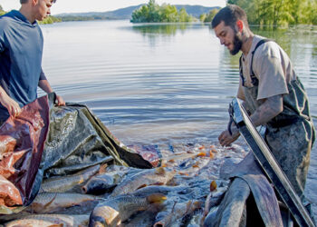 El Partido Animalista pide responsabilidades a la CHT por la muerte masiva de peces tras el cierre de la conexión entre los embalses de Entrepeñas y Buendía