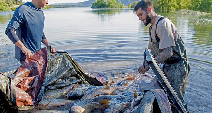 El Partido Animalista pide responsabilidades a la CHT por la muerte masiva de peces tras el cierre de la conexión entre los embalses de Entrepeñas y Buendía 1 El Partido Animalista pide responsabilidades a la CHT por la muerte masiva de peces tras el cierre de la conexión entre los embalses de Entrepeñas y Buendía