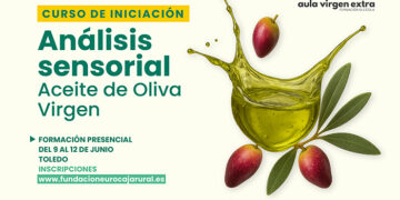 Aula Virgen Extra lanza una nueva edición del curso de iniciación al Análisis Sensorial de Aceite de Oliva Virgen