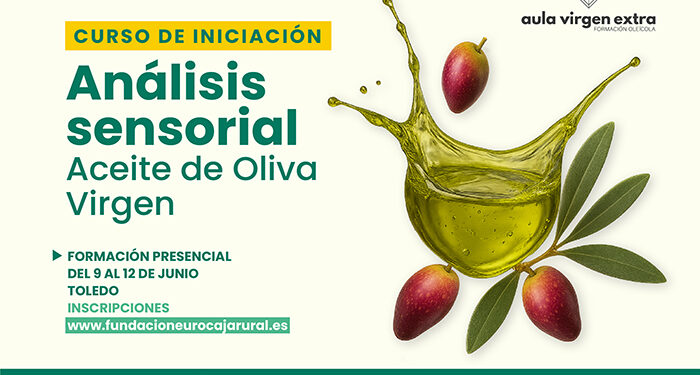 Aula Virgen Extra lanza una nueva edición del curso de iniciación al Análisis Sensorial de Aceite de Oliva Virgen