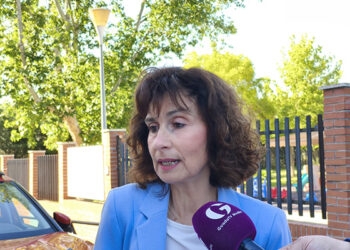 El PSOE acusa a Guarinos “de esconderse tras un comunicado sobre la sentencia de la grúa, cuando sabe que actuó en contra de lo que marca la ley”